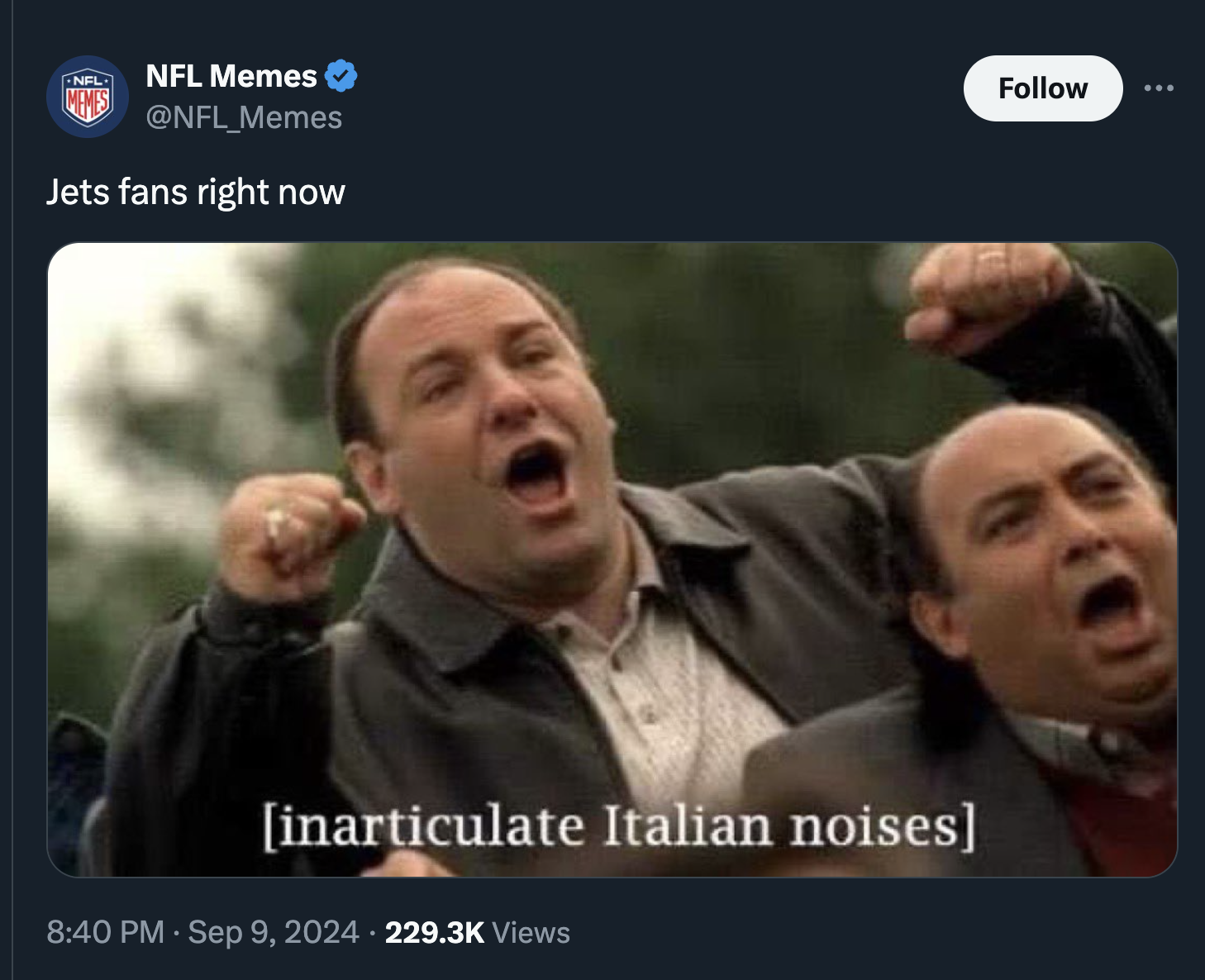 inarticulate italian noises meme - Nfl Nfl Memes Jets fans right now inarticulate Italian noises Views